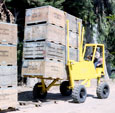 Straddle Fork is a crate transporting crop mover.