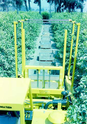 The design of Straddle Forks allows it to easily more through rows of an orchard or field without harming the surrounding plants.