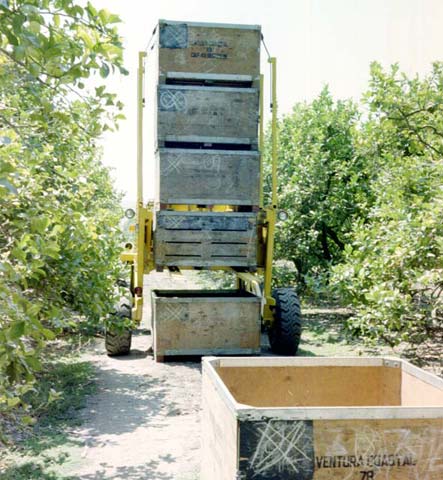 Straddle Fork can carry eight empty bins to the field and four full bins back.